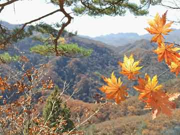 重庆那些地方有道观重庆那些地方有道观吗