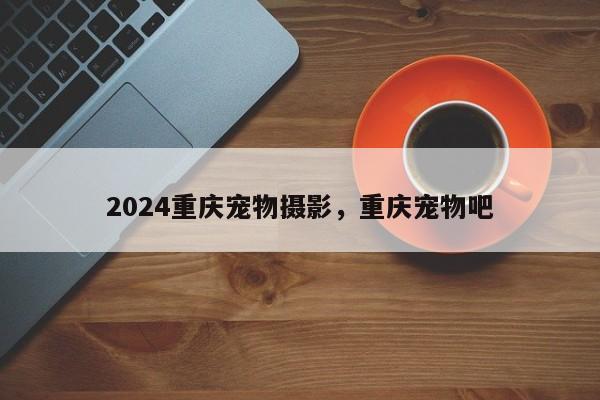 2024重庆宠物摄影，重庆宠物吧