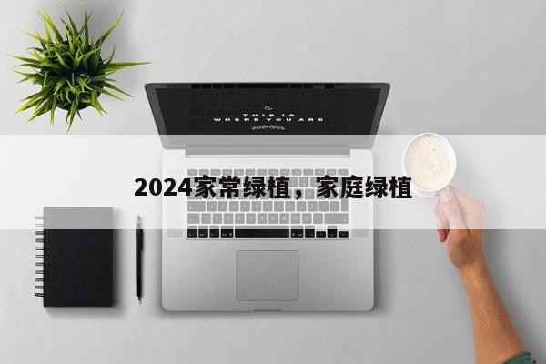 2024家常绿植，家庭绿植